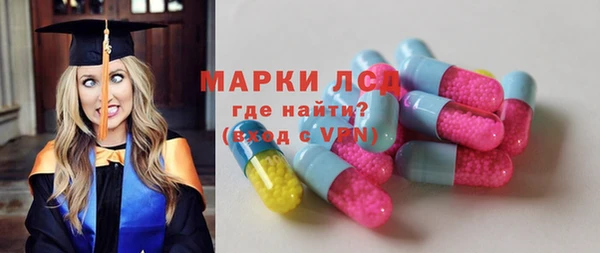 хмурый Абаза