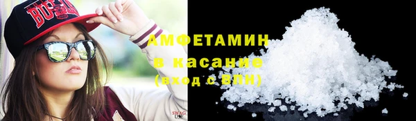прущие грибы Мегион