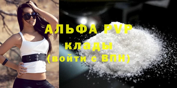 прущие грибы Мегион