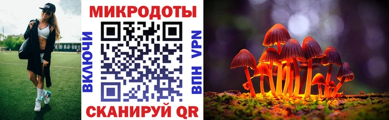Псилоцибиновые грибы Cubensis  Черемхово 