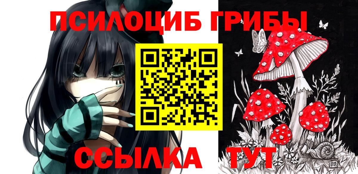 Галлюциногенные грибы Psilocybe  Псилоцибиновые грибы мицелий  Вход с VPN  Черемхово 