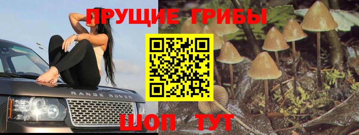 Псилоцибиновые грибы прущие грибы Черемхово